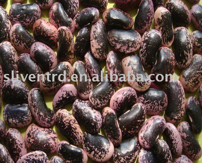 Large Black Speckled Kidney Beans