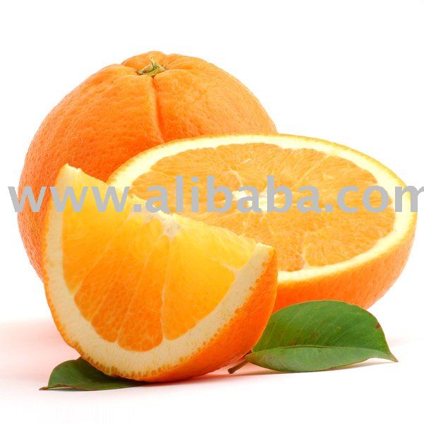 FRESH VALENCIA/NAVEL ORANGES FOR SALE