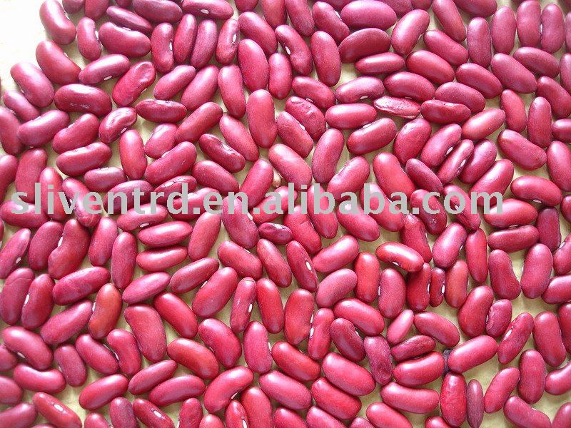 England Red Kidney Beans