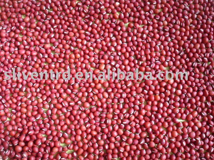  Red   Mung   Bean s