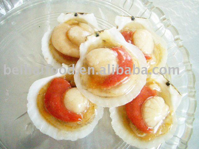 Frozen Scallop (Patinopecten yessoensis) half-shell