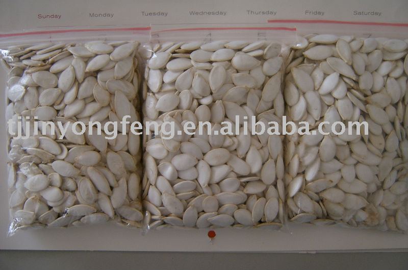 Snow white pumpkin seeds