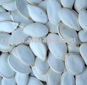 Pumpkin Seeds