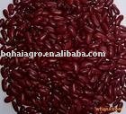 Chinese small red kidney  beans