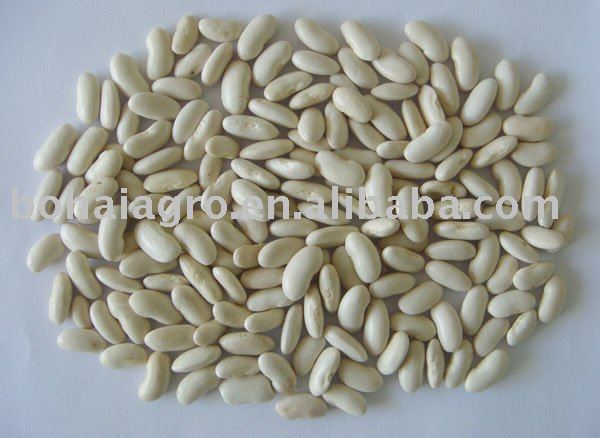 small white kidney beans/Baishake beans