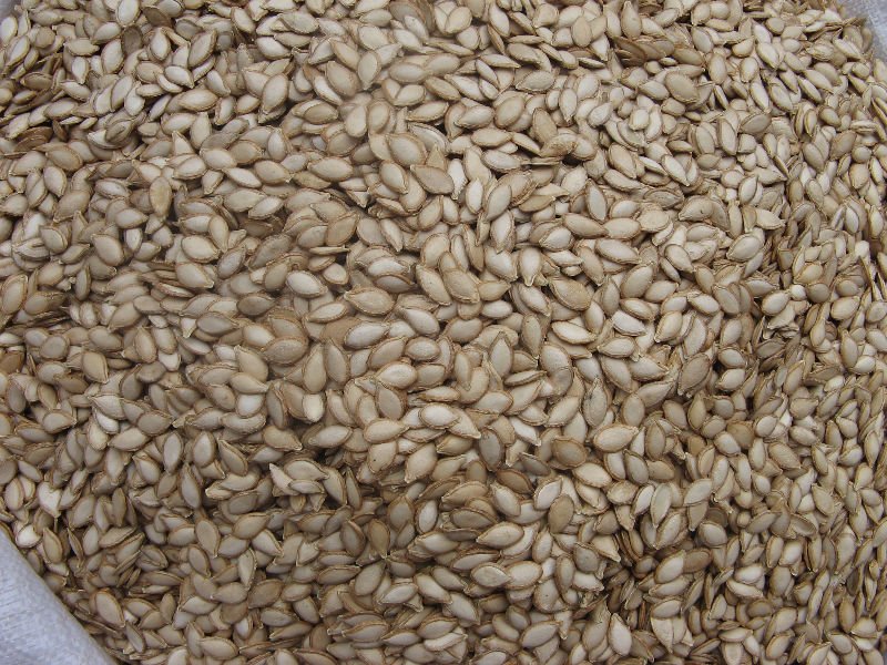 Pumpkin seeds