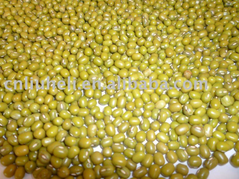 good quality green mung beans