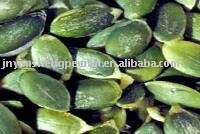 Pumpkin seed kernel