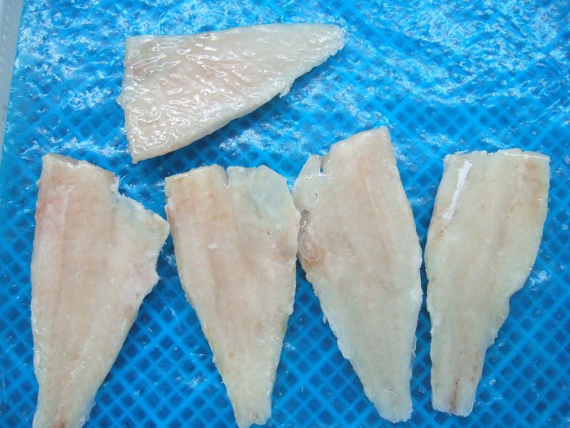  Atlantic   red   fish 