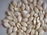  Pumpkin   Seed  P. E.,  Pumpkin   Seed   Extract  Powder,  Pumpkin   Seed   Extract  Oil