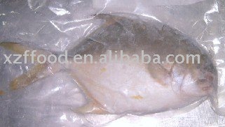 Frozen Pomfret