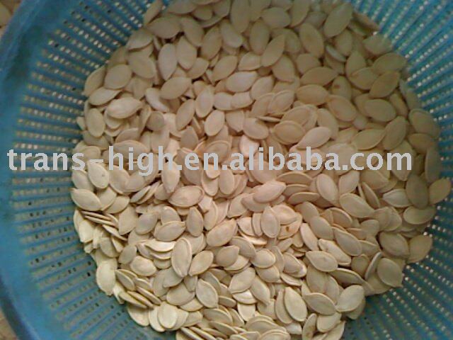 shine skin pumpkin seeds/light board pumpkin seeds