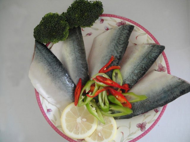 Frozen  Mackerel Fillet