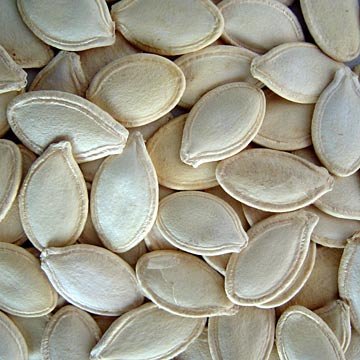 Quality Pumpkin seeds,Cameroon price supplier - 21food