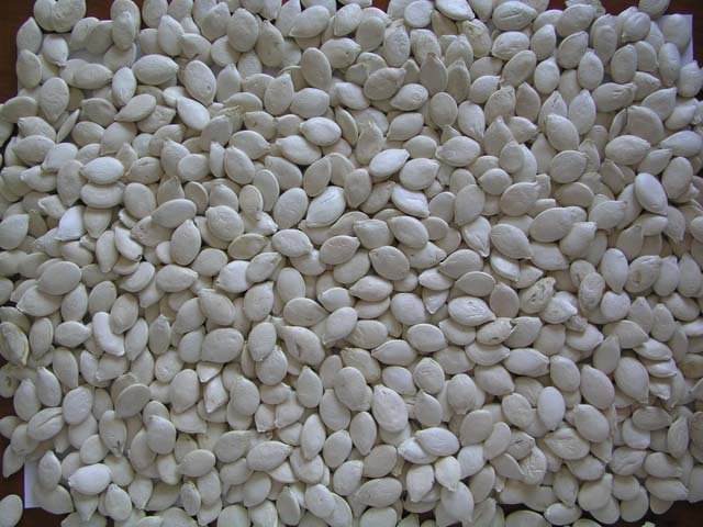 Pumpkin Seeds