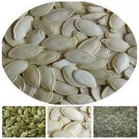 Pumpkin Seeds