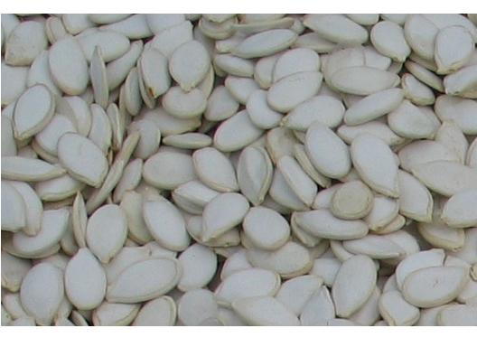 Pumpkin Seeds