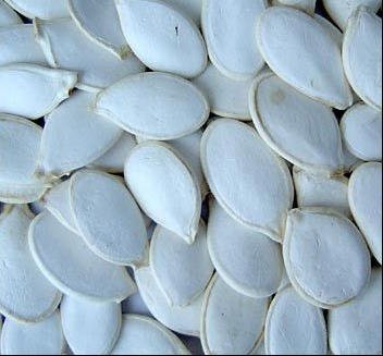 Pumpkin Seeds and Kernels For Sale