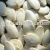 Pumpkin Kernels