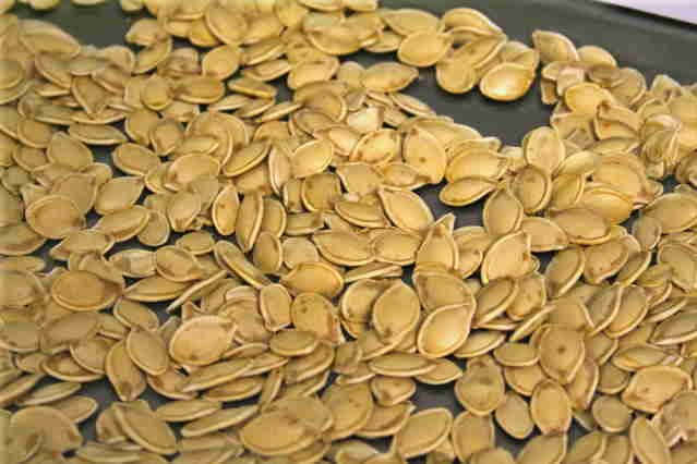 Pumpkin Seeds