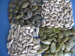 Pumpkin Kernels