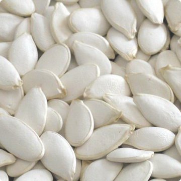 Pumpkin Kernels