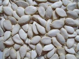 Pumpkin Kernels