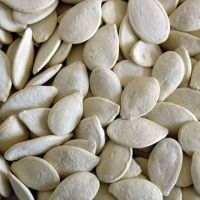 Snow White Pumpkin Seeds
