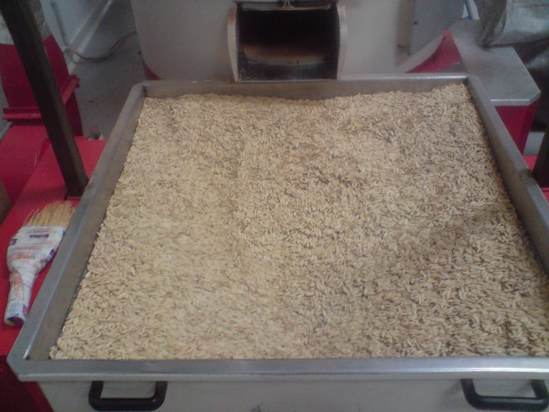 pumpkin seeds