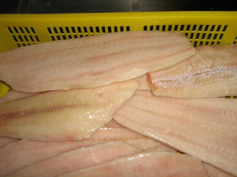 Frozen arrowtooth flounder fillets