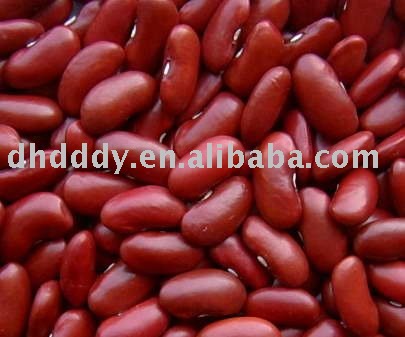 British type dark red kidney bean