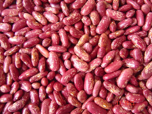 organic red speckled kidney bean