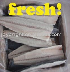 Spanish mackerel fillet (HG,HGT)