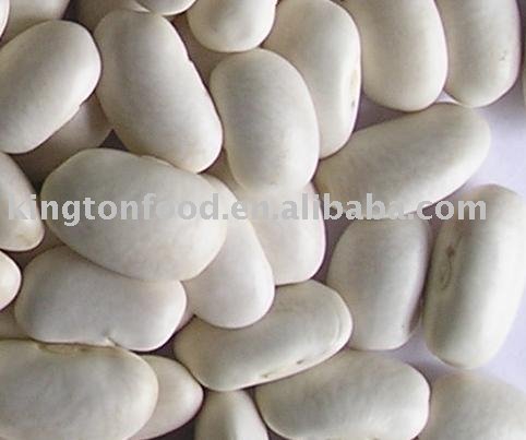new crop white bean