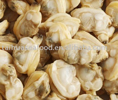 Frozen Processed Clam Meat