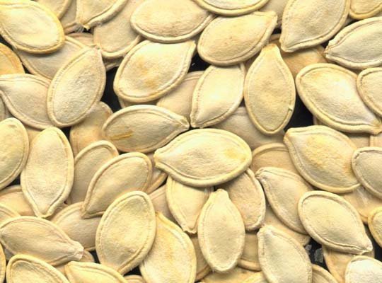 Pumpkin seed