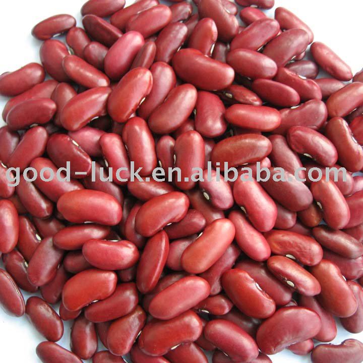 British Dark Red Kidney Bean