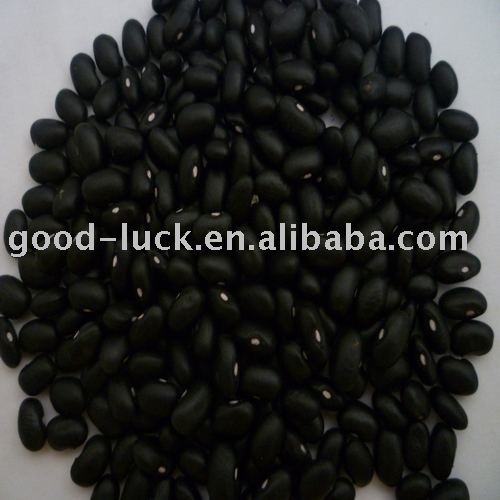 China Orgin Black Kidney Beans
