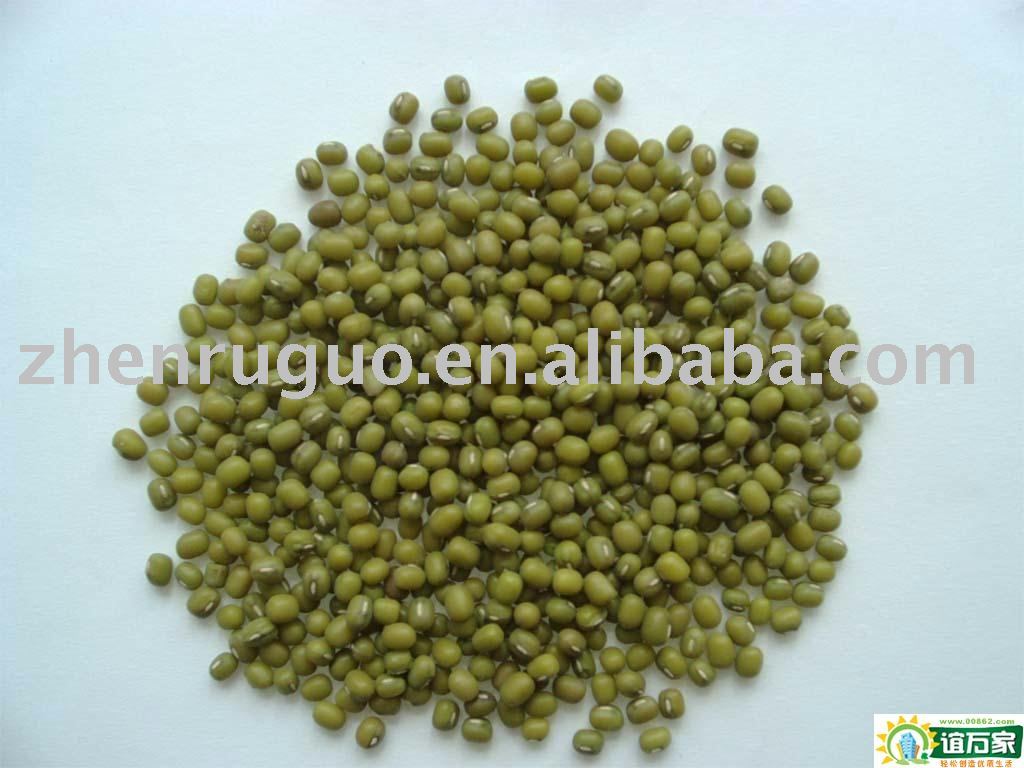  mung   bean   powder 