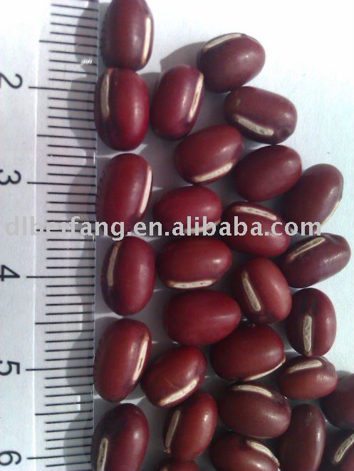 Organic and Conventional Chinese Adzuki Bean/Small Red Bean( 2010 crop) Hps