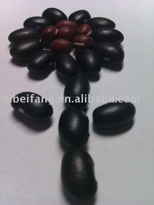 Organic Black Turtle Bean(2010 crop, hps, heilongjiang origin)