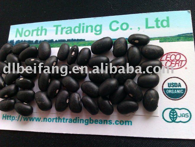 Organic Black Turtle Bean( 2010 Crop, heilongjiang origin,supermarket quality)