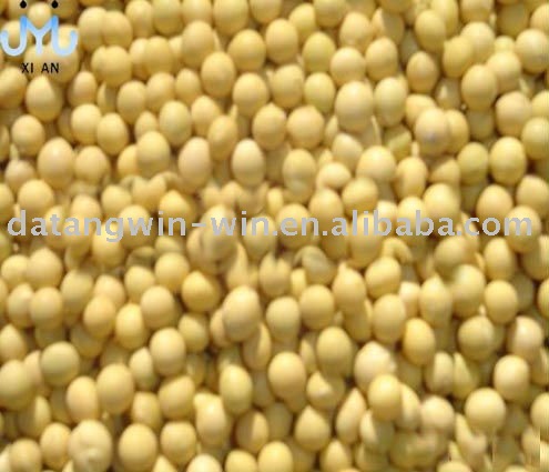top quality soybean and sunflower seeds for sale