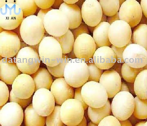 dried high protein soybean