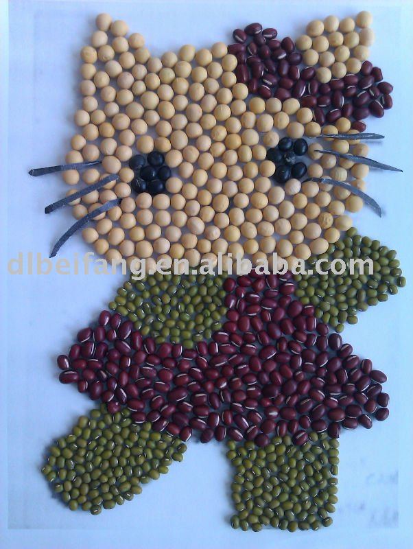 non gmo Soybean/soya bean