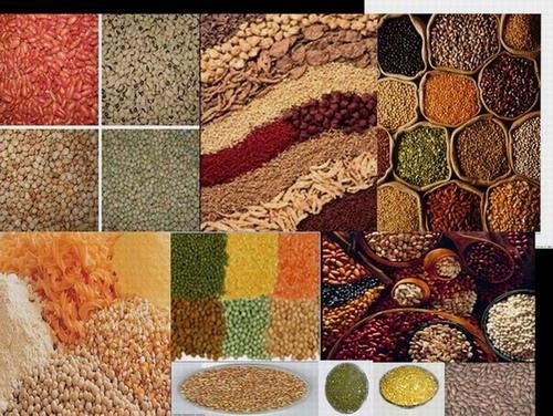  Pulses     Lentils 
