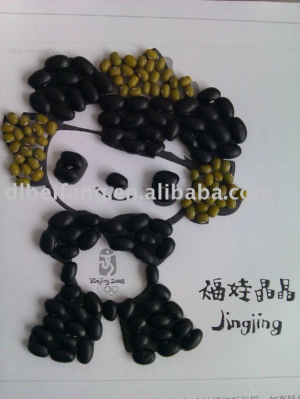 Black Kidney Bean/Black Turtle Bean( 2010 crop, Heilongjiang origin, HPS)