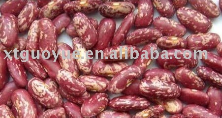 red speckled kidney bean