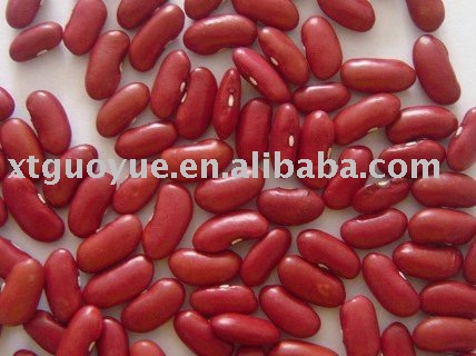 red kidney bean