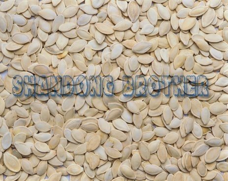 snow white pumpkin seeds